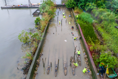 直击“起龙+采青”！娱乐城平台又迎龙船鼓声起！