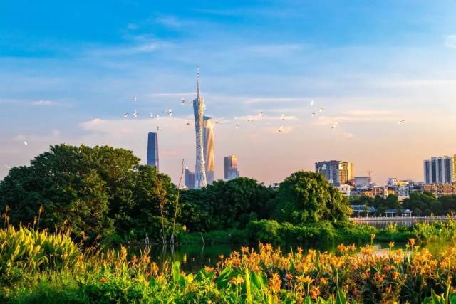 回到春天！你只需要来娱乐城平台湿地走一趟