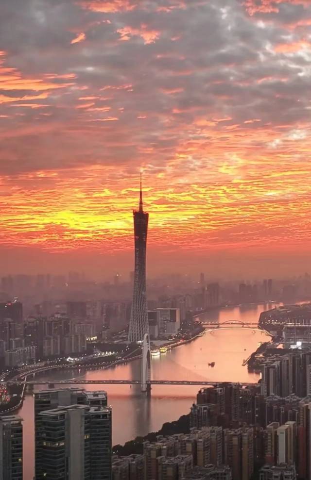 流氓兔视觉/图 流氓兔视觉/图