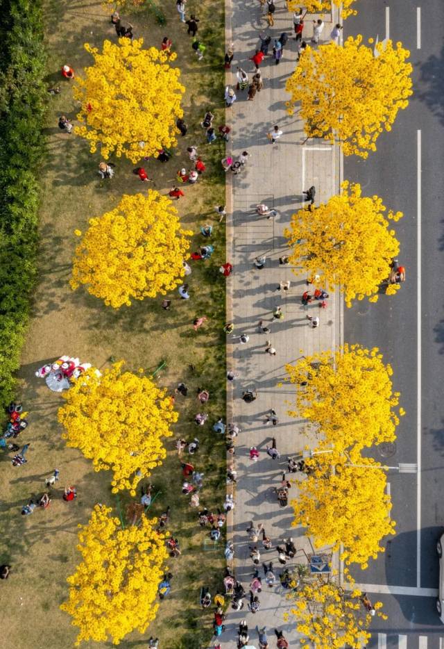 陈志强/摄 陈志强/摄