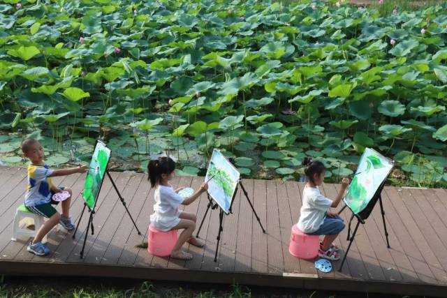 杨红/摄 杨红/摄