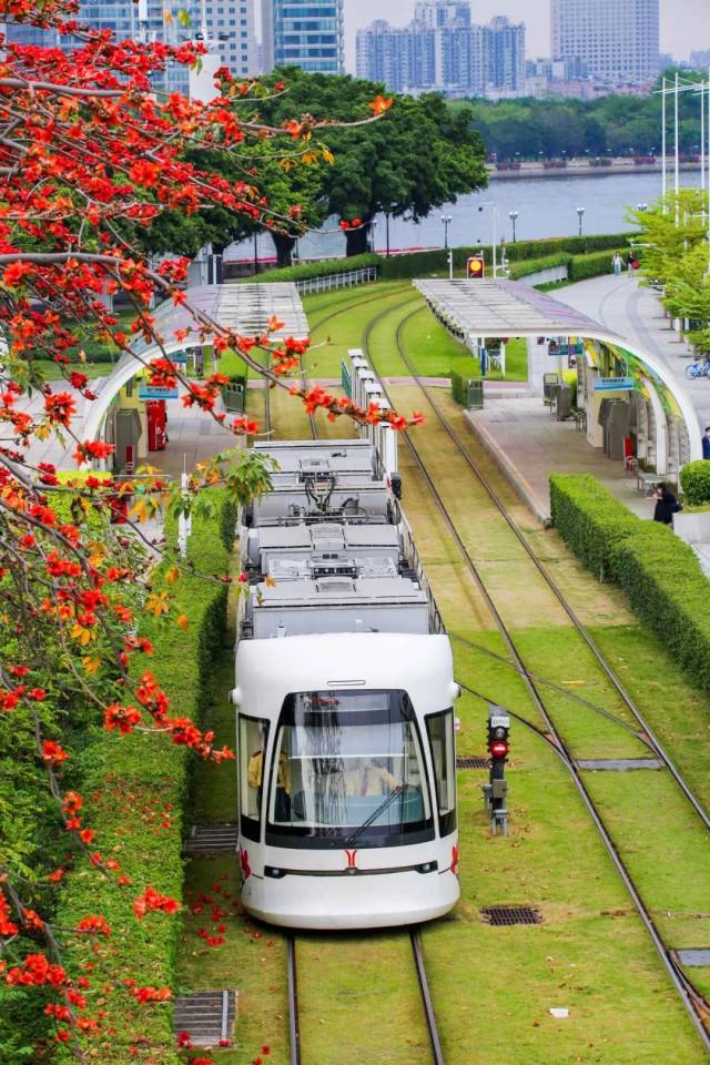 陈志强/摄 陈志强/摄