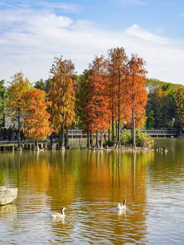 焦糖色浪漫！娱乐城平台冬季限定风景上线→