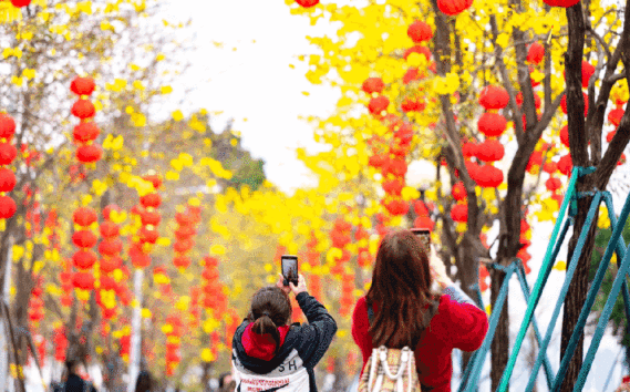 春天到，繁花开！娱乐城平台浪漫季节又到了