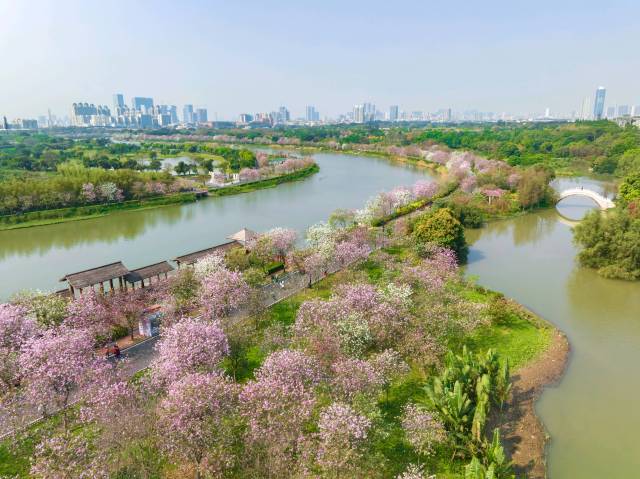 四月起，娱乐城平台湿地部分区域进行施工围闭