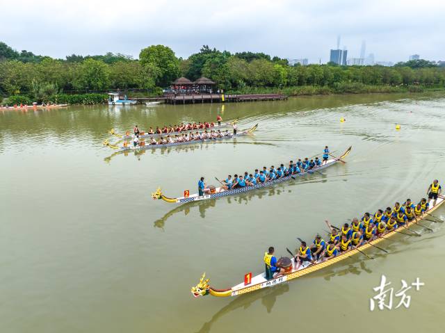 广州龙舟第一弹！娱乐城平台湿地千人竞渡