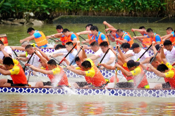 千人竞渡赛龙舟！2024娱乐城平台湿地龙船景系列活动来啦