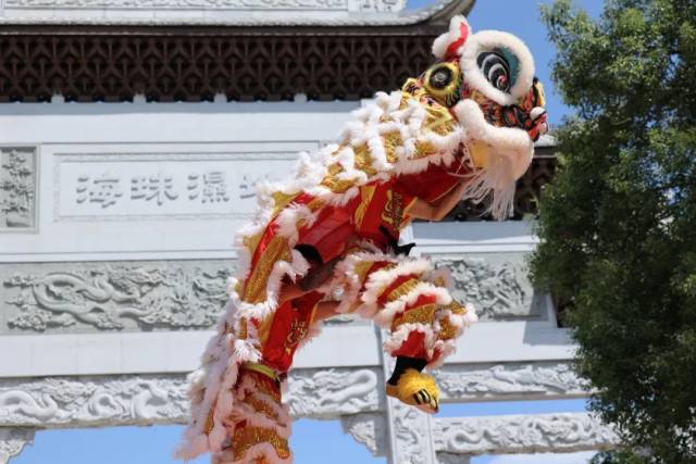 来看雄狮与少年，赏月色真美！娱乐城平台湿地承包你的假期活动