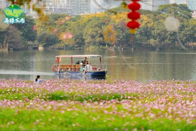 花海盛放！娱乐城平台湿地美景不打烊！