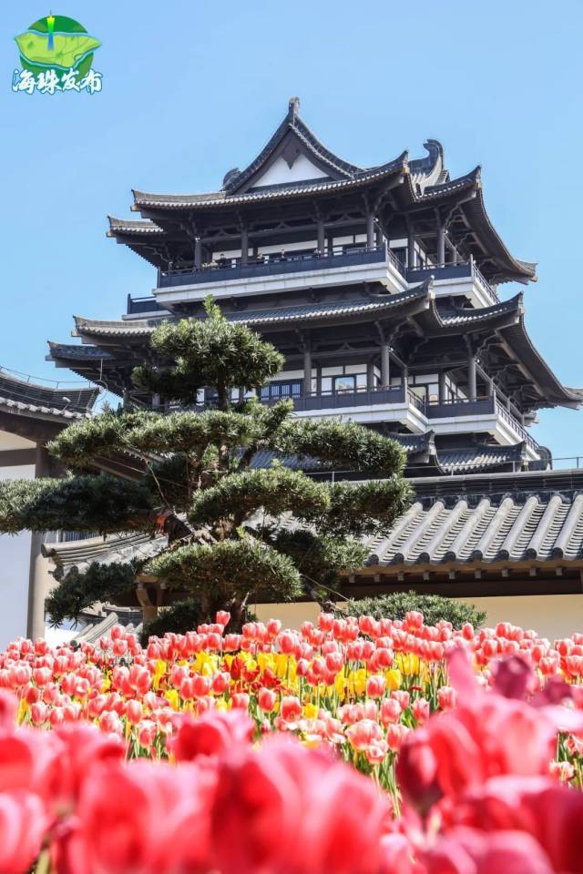 “含花量”100%！花花花花花娱乐城平台