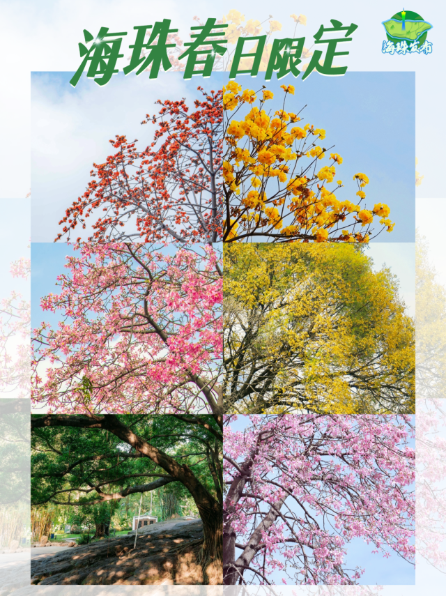 娱乐城平台春日限定crush！又一次惊艳了朋友圈→