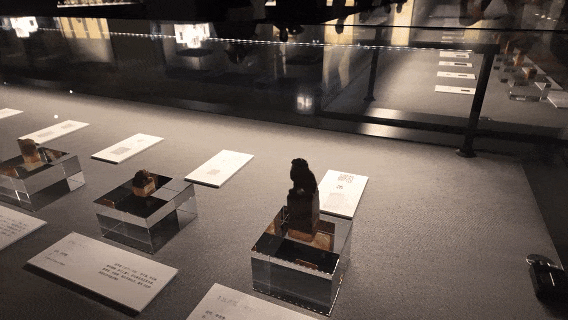 中国广州发布 小布摄 中国广州发布 小布摄