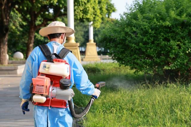 近期,娱乐城平台湿地公园开展蚊虫消杀及清理下水道等工作。